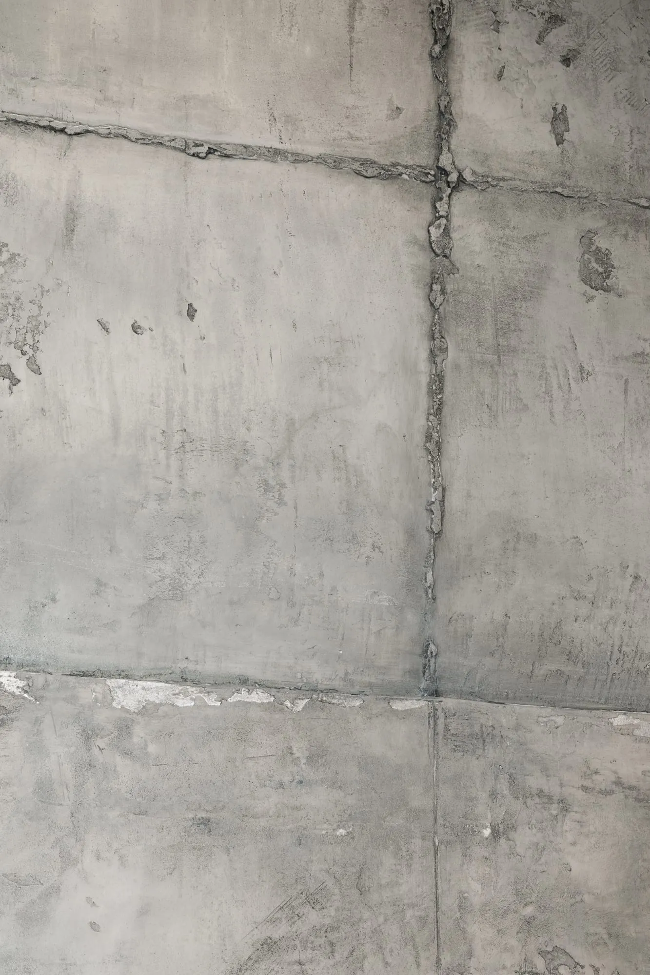 Commercial Spaces finish by Rebel Venetian — Truckee & Tahoe (3)